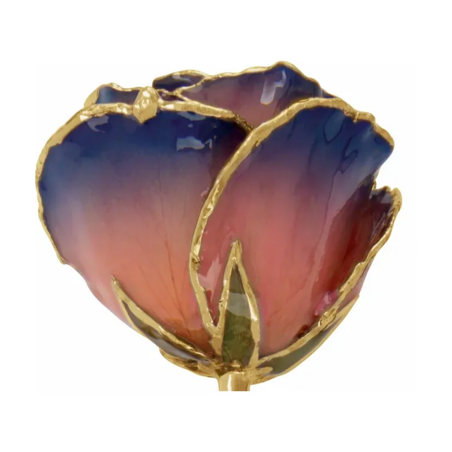 Rose Rose et Mauve Or 24kt