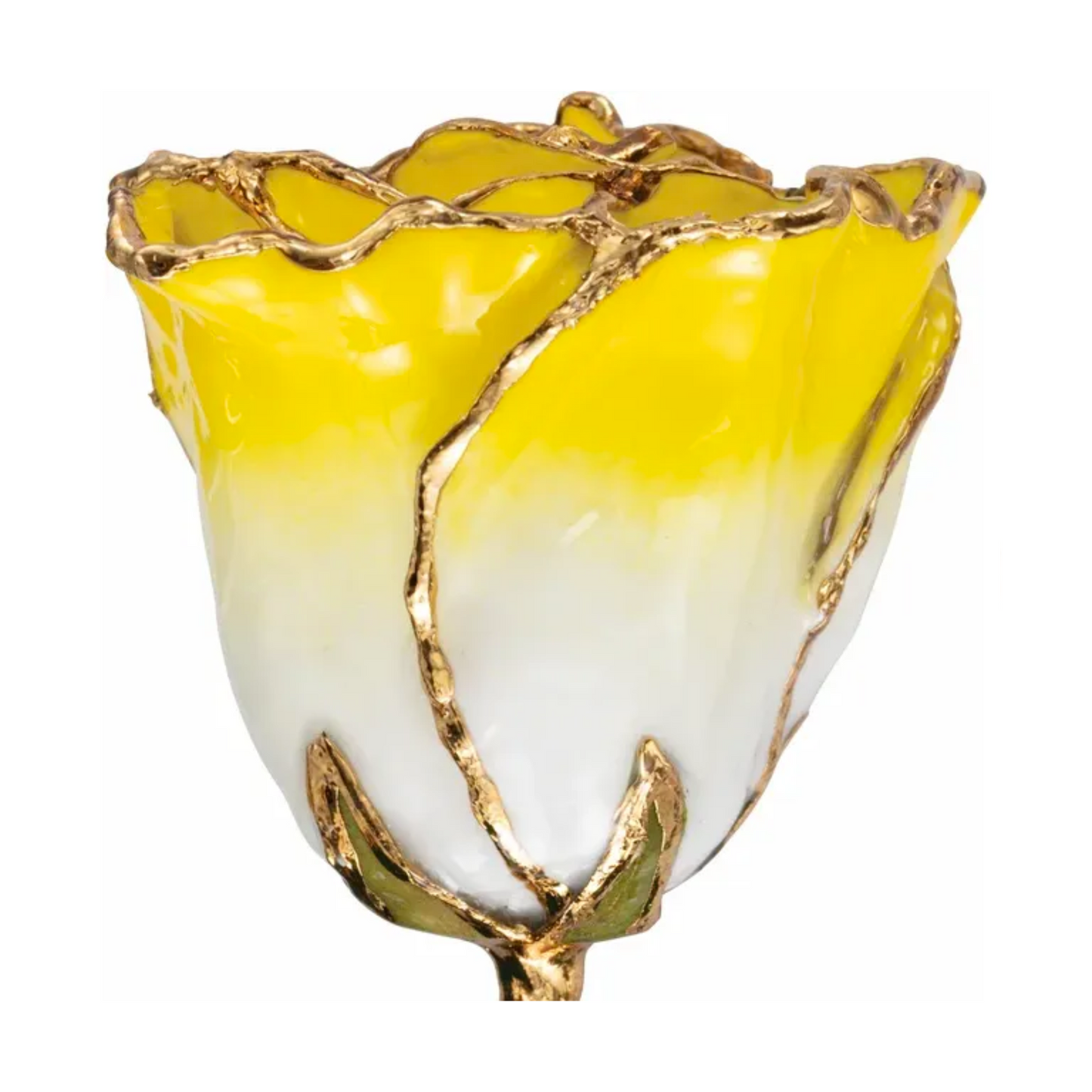 Rose Jaune Ombré Or 24kt