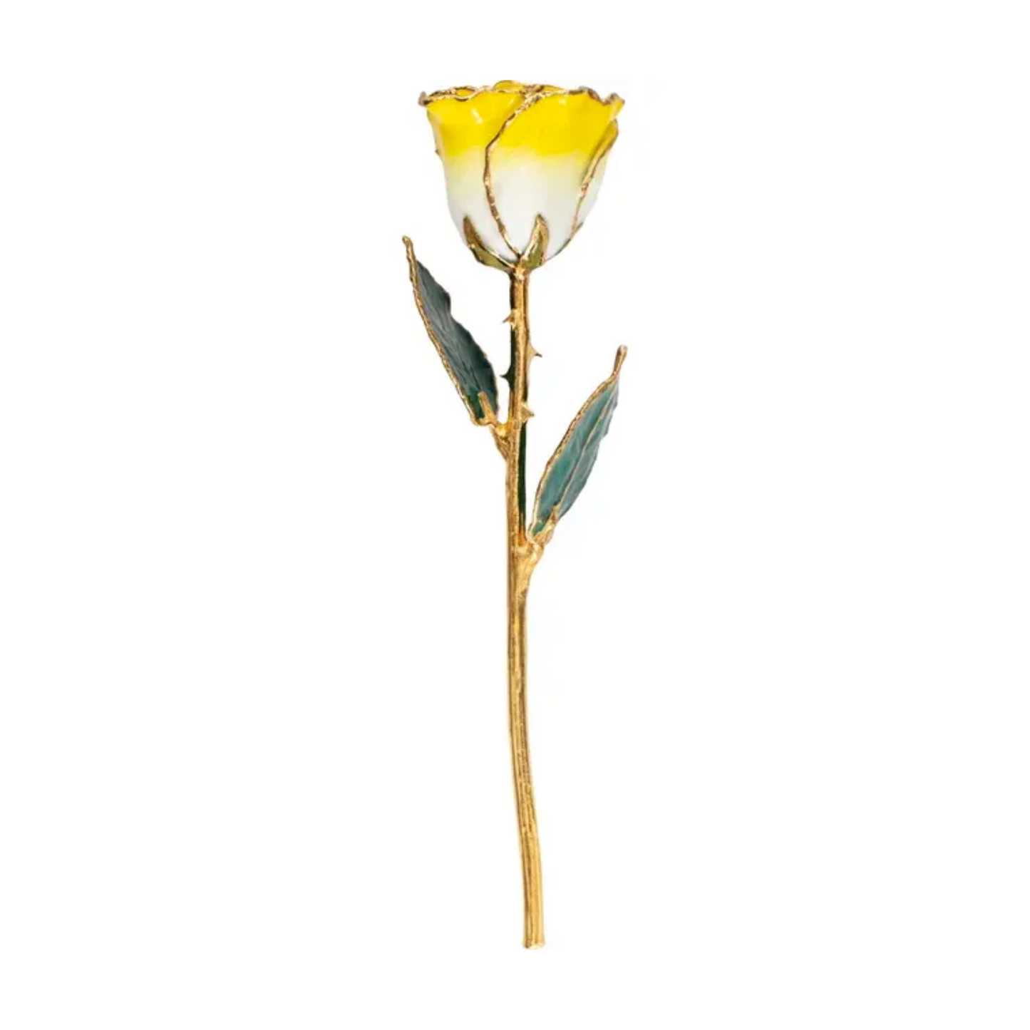Rose Jaune Ombré Or 24kt