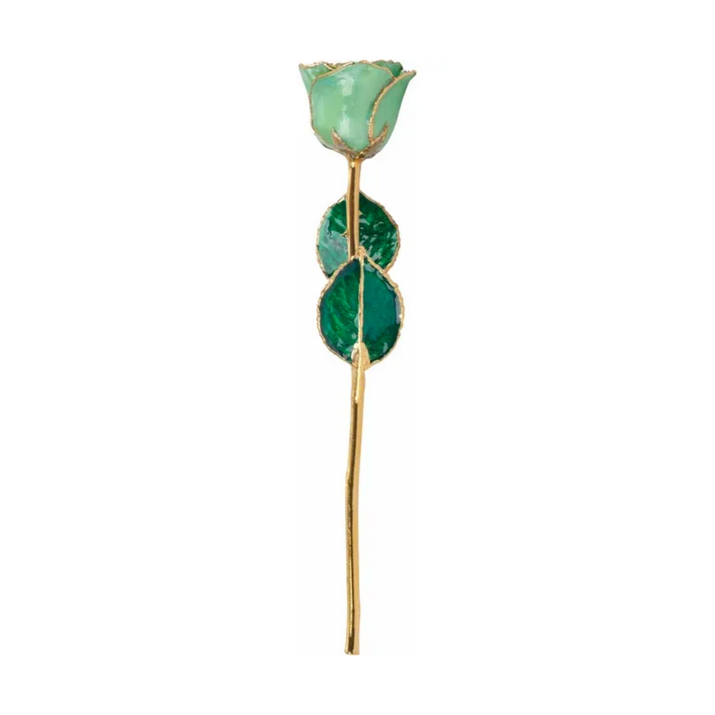 Rose Verte Or 24kt