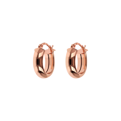 Boucles Anneaux Bronzallure